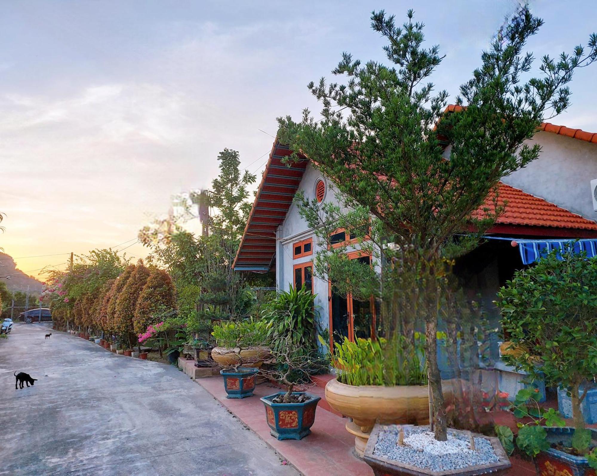 Ninh Binh Green Farmstay La Phu  Eksteriør bilde