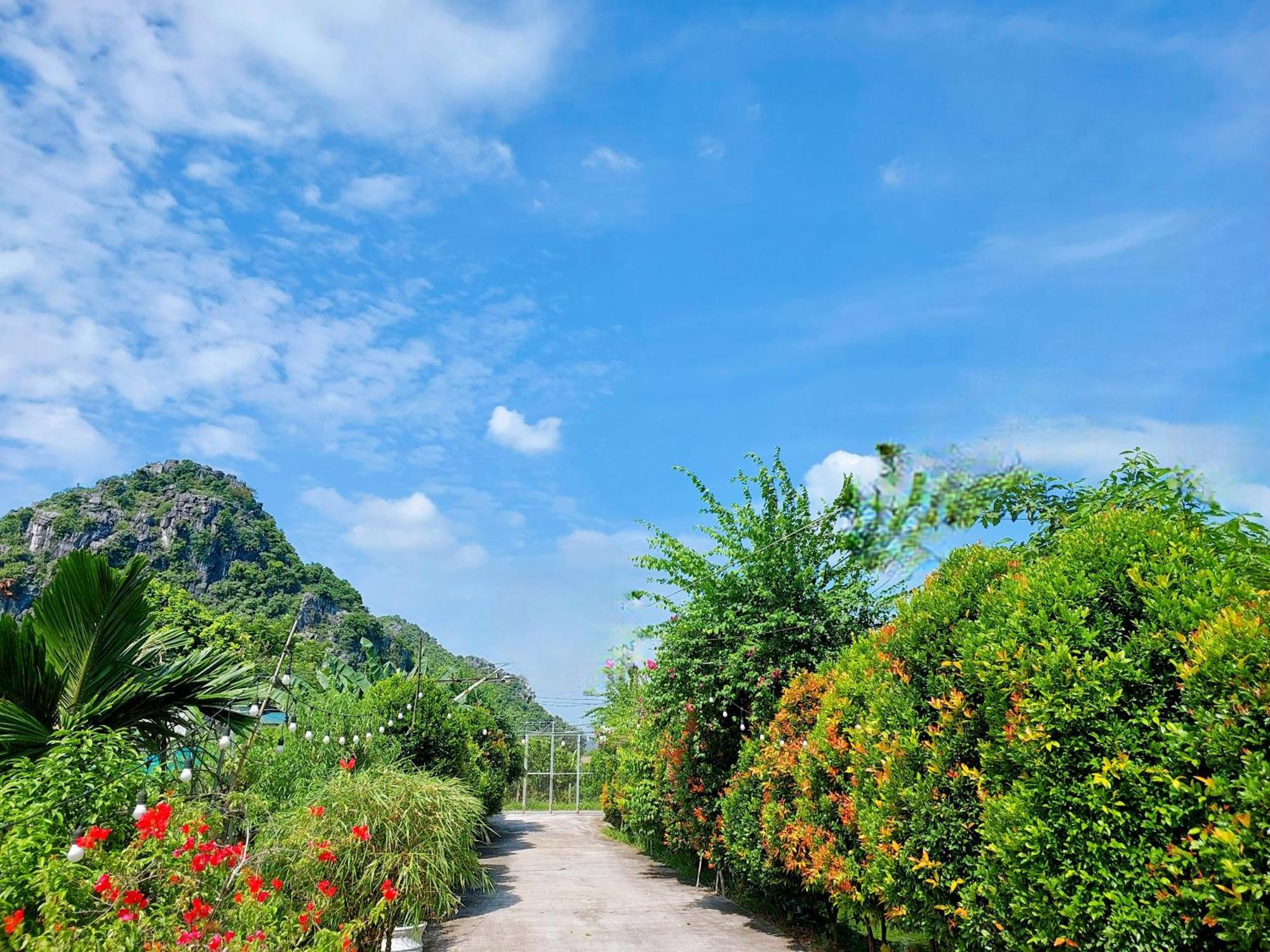 Ninh Binh Green Farmstay La Phu  Eksteriør bilde